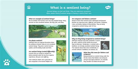 sensient definition|list of sentient animals.